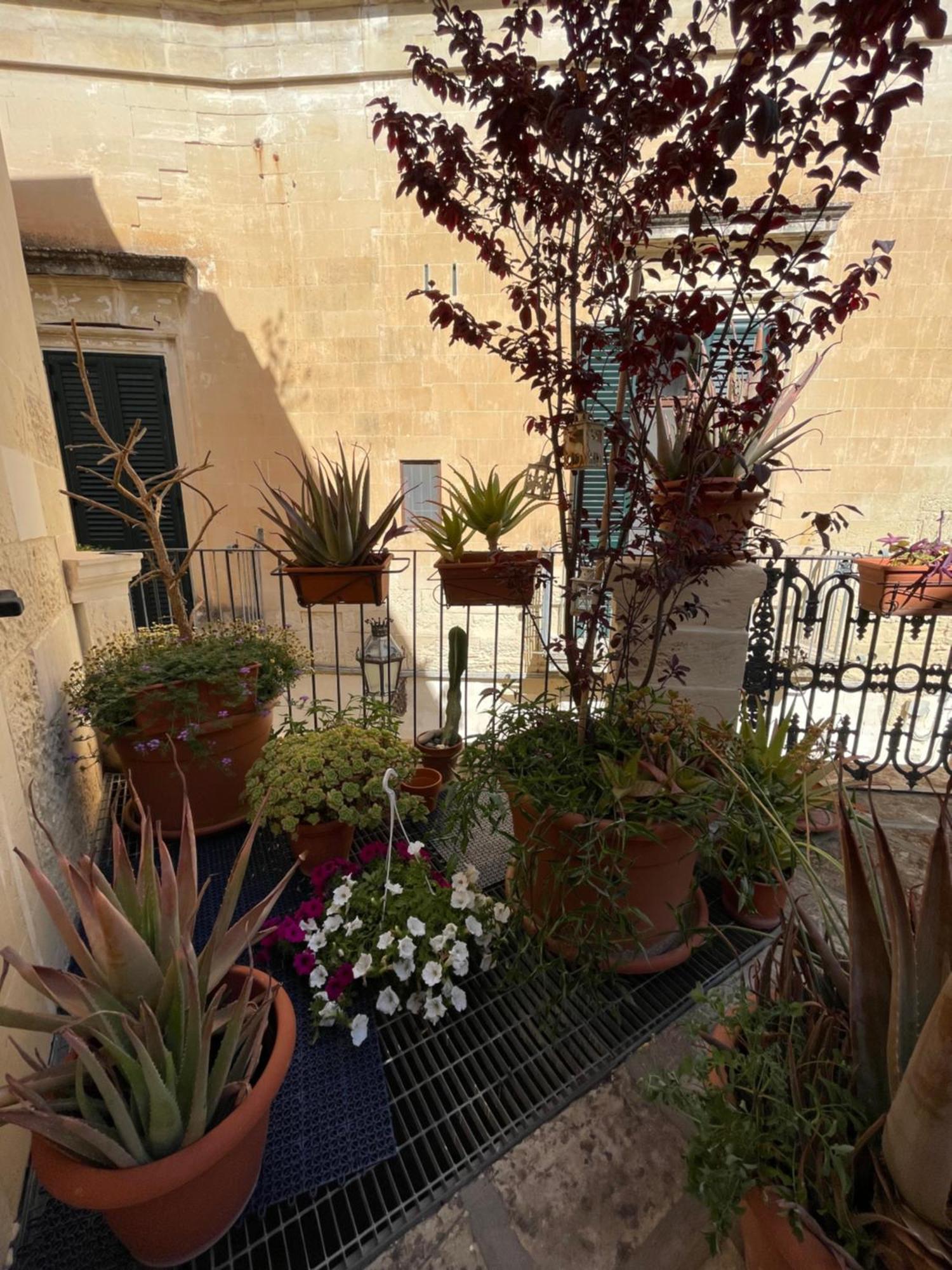 Antica Dimora Dei Nonni Bed & Breakfast Lecce